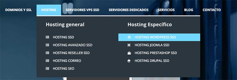 Pack hosting SSD wordpress Raiola
